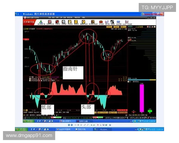 单关开奖走势全面分析与预测指南